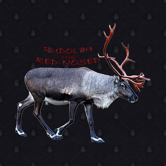 Rudolph the red-nosed by FotoJarmo